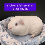 1000053443-0.jpg