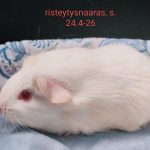 1000053504-3.jpg