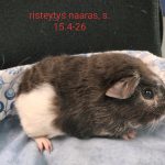 1000053505-0.jpg