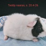 1000053507-4.jpg