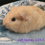 1000053563-2.jpg