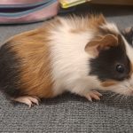 1000133707-0.jpg